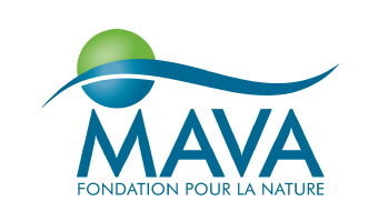 Logo MAVA